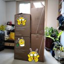 🚗 [내돈내산] 순성 우노 카시트 구매 후기 – 안전한 영유아 카시트 고르기