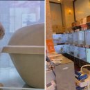 도그마루 강아지 고양이 부산점 이미지