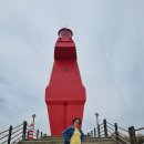 제주봄 | 제주도 스타렉스 대여 비용 걱정 없이 즐긴 봄 제주 여행 후기