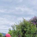 지아농장 이미지