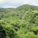 미천면-2 이미지