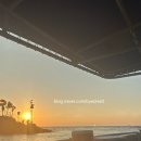 만타컴퍼니 - 남양주시 호평동 | 하와이 신혼여행 3일차 | 빅아일랜드 코나 선셋 만타레이 체험(필수준비물 추천) -> 코나브루잉컴퍼니...