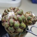 모화하우스 이미지