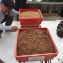 수야농장 이미지