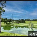 세레니티CC(회원제) | 청주 남이면 회원제 골프장 세레니티CC 최고 평점 4.18점의 명품 코스
