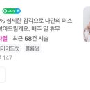 베르티니헤어 이미지