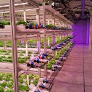 4차 산업혁명과 스마트 팜 이미지