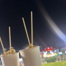 롯데 8연패 끊은 날… 승요는 바로 나였다💛사직 직관 후기