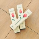 바닐라 브라운 Vanilla Brown 네이버블로그