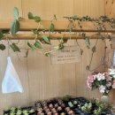 [예산 카페] 백설농부 내돈내산 솔직후기! 아이와 반려견 모두 행복한 야외 정원 카페 (재방문의사는...