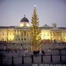 [영국생활정보] 런던에서 사랑스러운 크리스마스를 보내는 7가지 방법 이미지