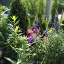 에메랄드그린 이미지