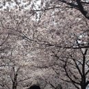 콩앤삐 펜션 이미지