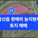 현애리농장 이미지