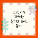 플러스동물메디컬센터 | 영등포구동물병원에서 알아보는 고양이의 과도한 음수와 배뇨