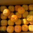 차랑농장 이미지