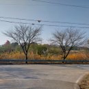 상화농장 이미지