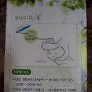 부암동와플