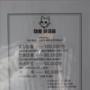 고양이 미용실 냥냥박사 이미지