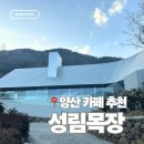 도전목장 | 양산 카페 | 성림 목장 내돈내산 후기