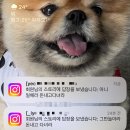 [일상/블챌] 먹상일상 체크인 챌린지
