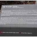 백수장 이미지