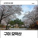 모악산주차장 | 완주 모악산 구이 주차장 벚꽃 개화상태 등산 후기