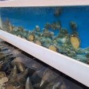 경성짬뽕 이미지