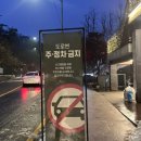 더 숲Ⅱ 이미지