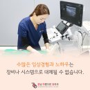 강남아름다운유외과 네이버블로그