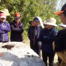 김선태농장 이미지