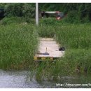 서검낚시터 이미지