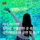 칭다오 여행 아이와 가볼만한 곳 극지해양공원 (아쿠아리움) 가격 및 공연 후기