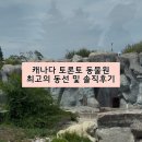 [공지] 캐나다가족여행 캐나다 토론토 동물원 현지인 추천 최고의 동선 및 놀이기구 솔직 후기
