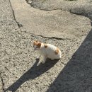 시골막걸리 | 남해 시골할매막걸리 방문 후기