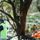 쌍봉종합사회복지관 이미지