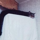 비밀 이미지