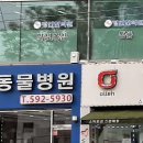 헬로우 동물병원 이미지