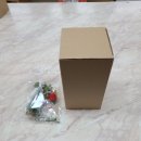 12/8 크리스마스 테라리움 이미지