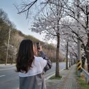 차이홍파주운정중국어교습소 | [일상] 4월 모음집 part.1