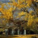 하곡 경로당 이미지