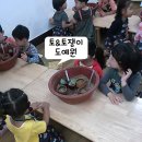 토&토쟁이
