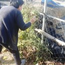 부여청계농장 이미지