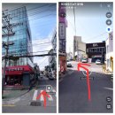 오독 강아지 안심분양센터 부산점 이미지