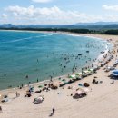 남호해수욕장 이미지