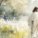 영생 농장 | 요한복음 10장 주석, 2026년 5월 18일, Commentary on John 10