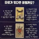 마음의 위로 타로카드 배우기 네이버블로그