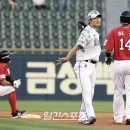 일석이조