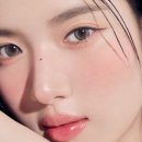 데메테르H 이미지