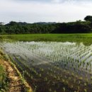 아름다운 꿩농원 이미지